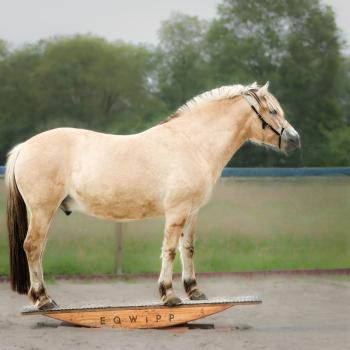 EQWIPP 200